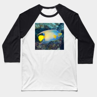 Queen Angelfish Baseball T-Shirt